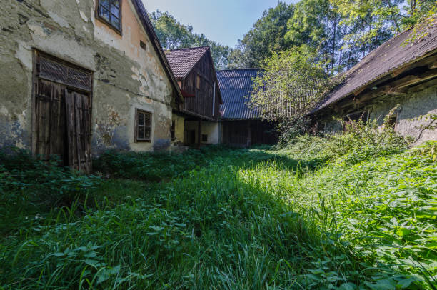 istock old abandoned farm in the bergen 1253703012