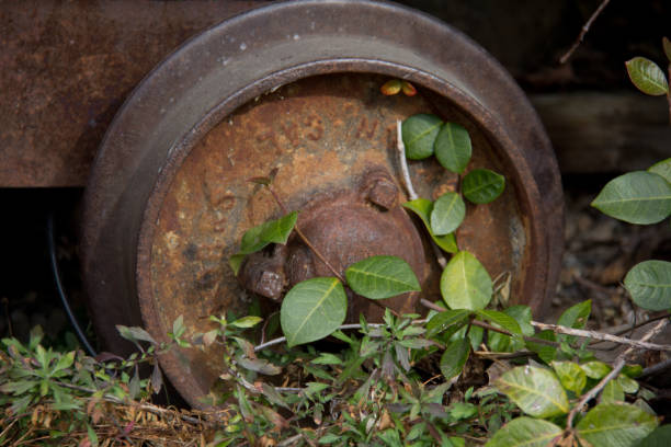 istock close up of old rusty wheel in the weeds 1253703801