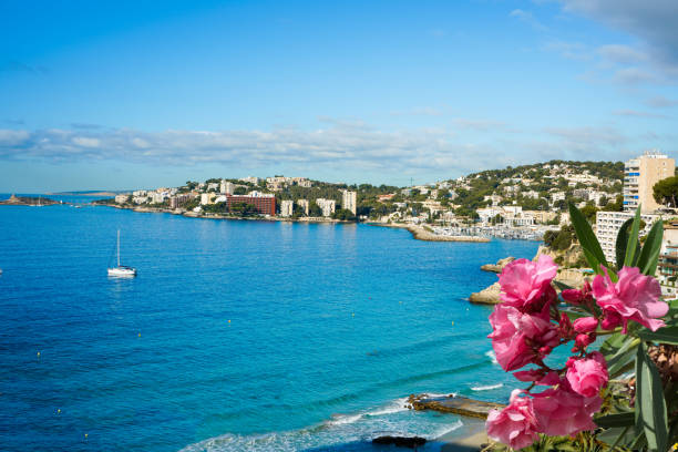 istock View at Palma de Mallorca coast 1253707527