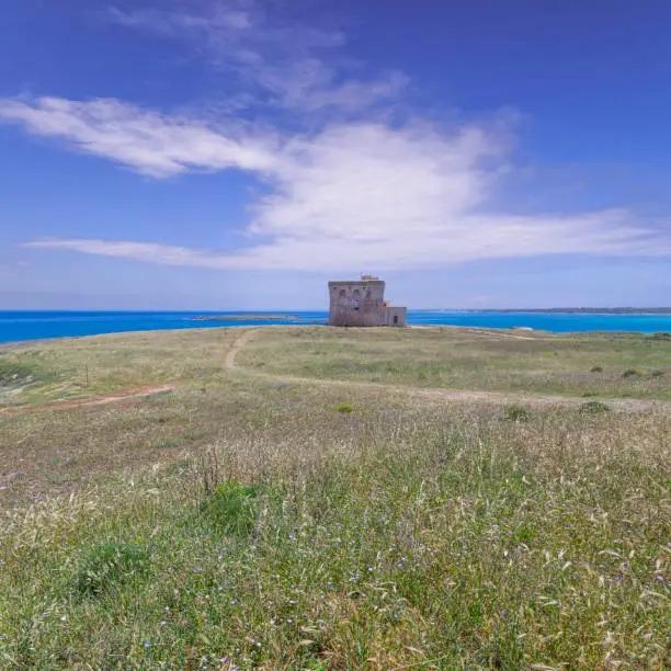 This stretch of coast, six kilometers long, includes a landscape strongly characterized by Mediterranean features, going from the sea beyond the dunes, through the Mediterranean maquis and the marshes, to a centuries-old olive grove. Each shape and color in the Park is influenced and shaped by the sea.