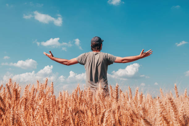 istock Successful wheat farmer standing in ripe cereal crop field 1253708833
