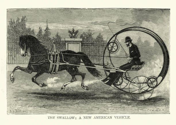 stockillustraties, clipart, cartoons en iconen met de zwaluw een wiel paardenkoets, victoriaanse 19e eeuw - gekke paarden
