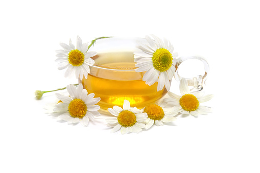 Cup of herbal tea with chamomile flowers on white background. Herbal Medicine.
