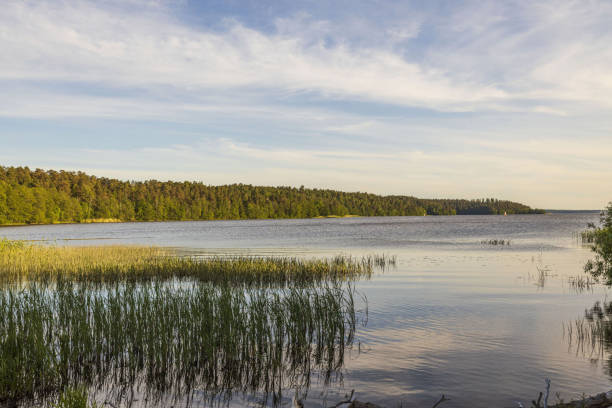 istock Beautiful lake view  on blue sky with white clouds background. Beautiful summer nature backgrounds.  Sweden, Europe. 1253714663