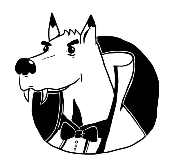 vampire dog cape