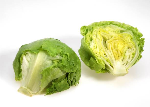 istock Iceberg Salad, lactuca sativa against White Background 1253715808