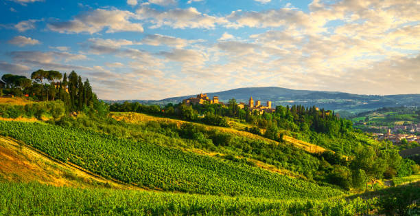 certaldo alto town skyline and vineyards view. florence, tuscany, italy - giovanni boccaccio imagens e fotografias de stock