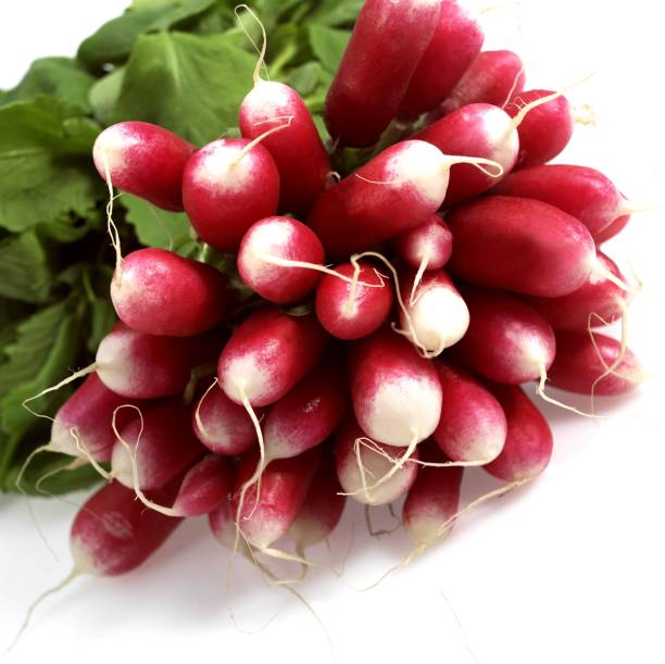 istock Pink radishes, raphanus sativus against White Background 1253717039