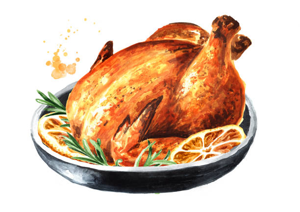 오렌지 과일 조각과 허브로 장식 된 전통적인 크리스마스 또는 추수 감사절 구운 칠면조, 손으로 그린 수채화 일러스트레이션, 흰색 배경에 고립 - cooked chicken sketching roasted stock illustrations