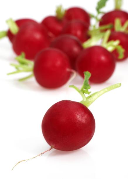istock Red Radish, raphanus sativus against White Background 1253717655