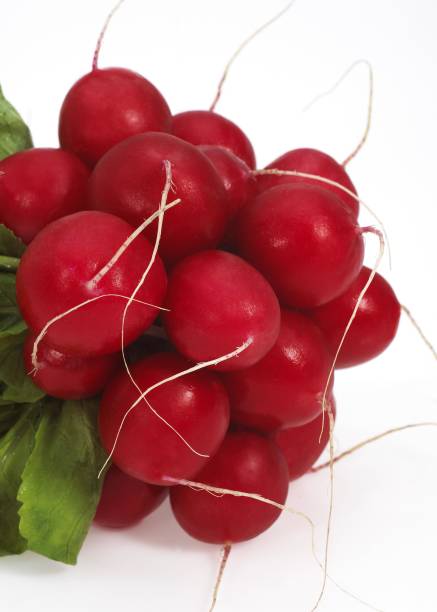 istock Red Radish, raphanus sativus against White Background 1253718488