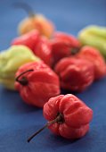 martinique-hot-pepper.jpg?b=1&s=170x170&k=20&c=Ft4jPmc5r29XyFhkOBbwMvU0onac8YrWTXBQHl4x7HY=