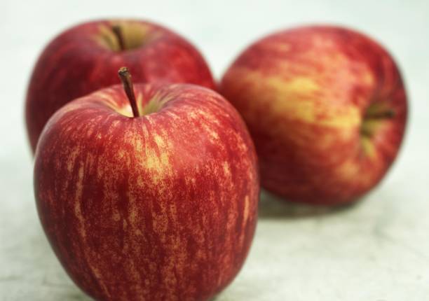 istock Royal Gala Apple, malus domestica 1253720373