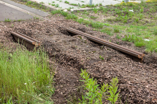 A pair of rusty railway tracks, overgrown with grass and weeds, show clear signs of disuse and abandonment. The tracks blend with the surrounding vegetation, symbolizing the passage of time and nature reclaiming industrial spaces.