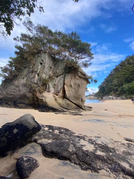 istock Beach in Abel Tasman National park 1253722646