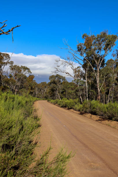 istock Dirt road through the you yangs 1253724016