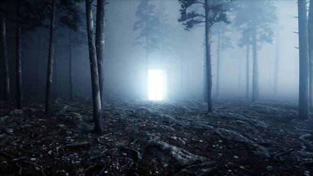 светящаяся дверь в тумане ночного леса. световой портал. мистичная и волшебная концепция. 3d рендеринг. - mistic стоковые фото и изображения
