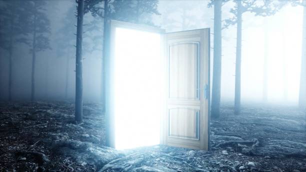 istock Glowing door in fog night forest. Light portal. Mistic and magic concept. 3d rendering. 1253724205