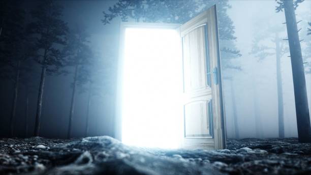 istock Glowing door in fog night forest. Light portal. Mistic and magic concept. 3d rendering. 1253724219