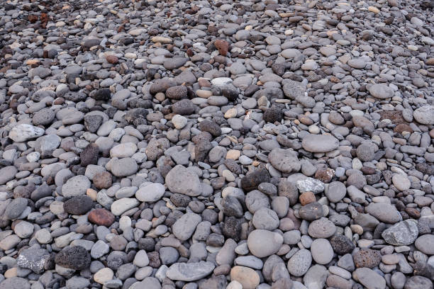 istock Dry round reeble stones 1253726443