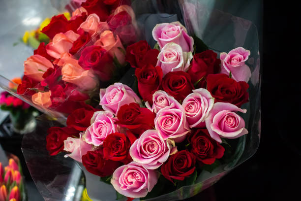 istock shades of red roses 1253726872