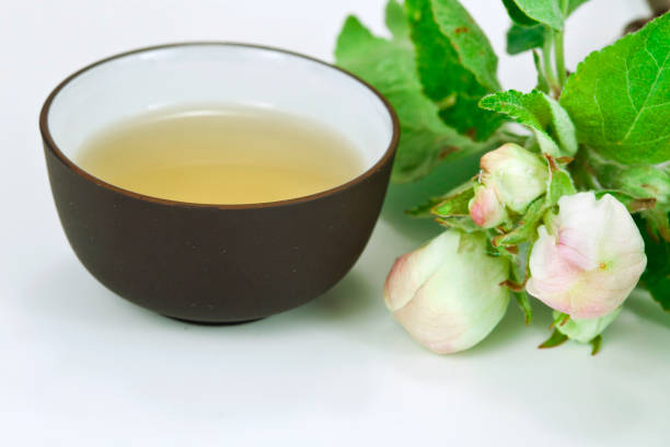 té verde con manzano en flor - green tea cherry blossom china cup fotografías e imágenes de stock