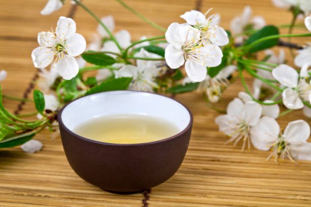 tè verde con ciliegio in fiore - chinese tea teapot isolated tea foto e immagini stock