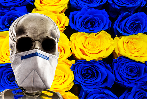 Human skeleton wearing a face mask skull in dramatic high key light, corona covid-19 with Swedish flag made of roses in background