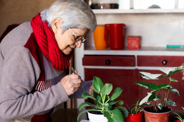 istock mother and eldest daughter doing gardening 1253729660