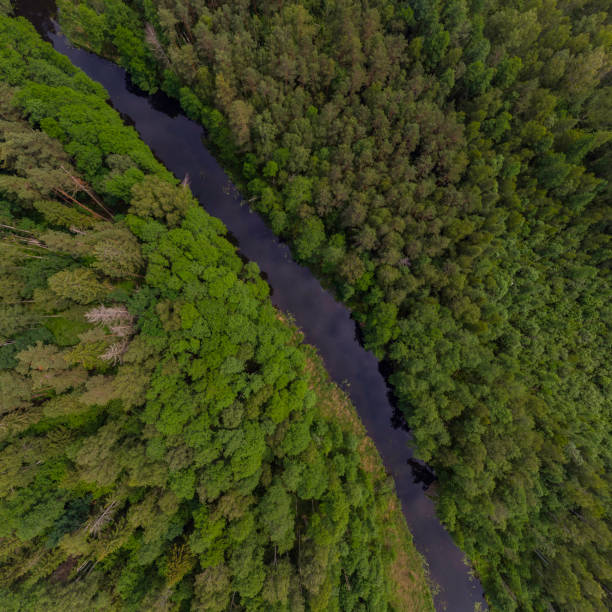 istock rural landscape with a small meandering river (aerial view) 1253730505