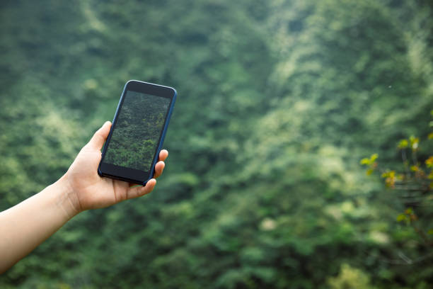 istock Hand using smartphone taking photo on forest mountain top 1253730793