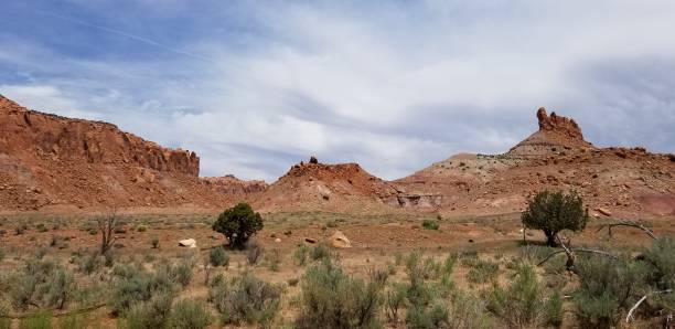 istock Petrified Wood Landscapes 1253737342