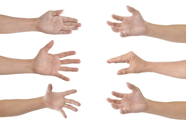 istock Set of man hands gestures isolated on white background 1253739527