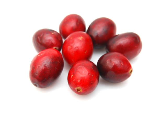 istock Cranberry isolated on white background 1253741646