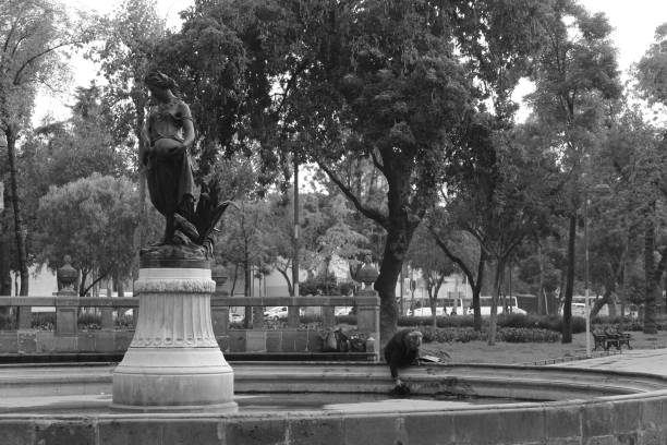 MEXICO CITY, MEXICO - September / 21 / 2018 Homeless old woman washes her clothes in a fountain with the sculpture of the goddess of spring \