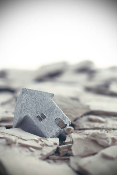 Disaster, natural disaster, collapse, earthquake, house, flood, disaster insurance, insurance, destruction, damage insurance, torrential rain, typhoon, major earthquake