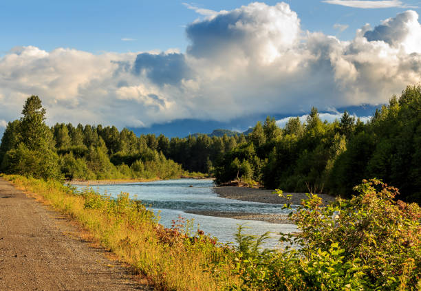 Looking downstream on the Kitimat River in the evening sun, British Columbia, Canada.