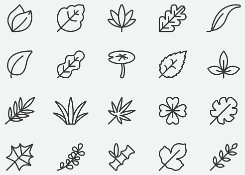 Leaves Line Icons