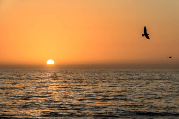istock Majestic sunset over the Pacific ocean. 1253765704