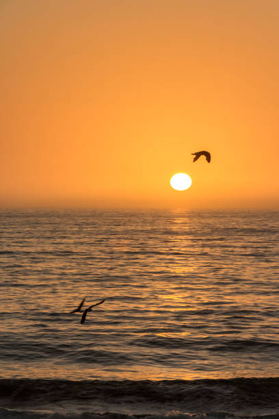 istock Majestic sunset over the Pacific ocean. 1253765725