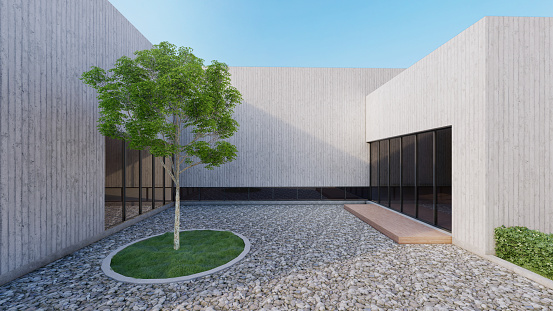 Mordern house with open courtyard have feature tree and Pebble ground. 3D illustration