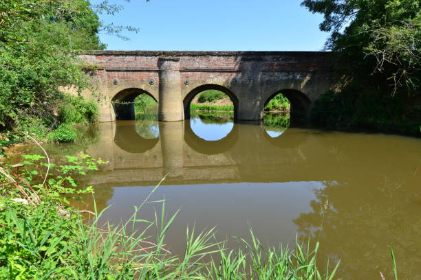 istock Bridge on the Wey and Arun Canal 1253778886