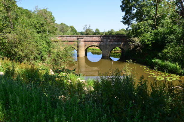 istock Bridge on the Wey and Arun Canal 1253779449