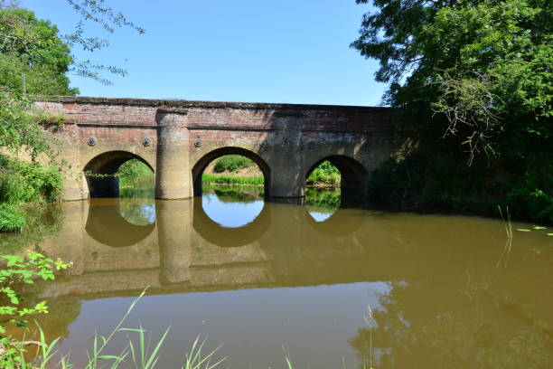 istock Bridge on the Wey and Arun Canal 1253779959