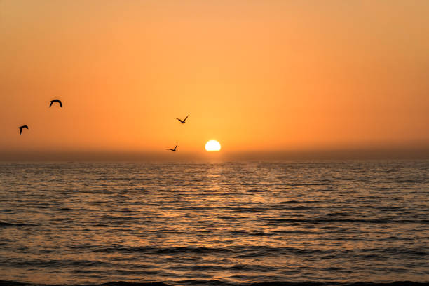 istock Majestic sunset over the Pacific ocean. 1253780835