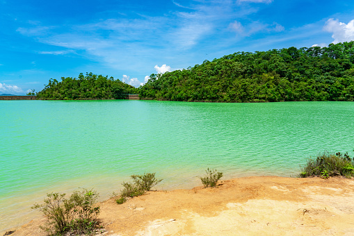 Kowloon Byewash reservoir in Kam Shan Country Park, also known in Hongkong as Monkey Hill, a country park located in the ranges north of Kowloon. Most of the area is covered by the Kowloon Group of Reservoirs. The park is famous for its conservations of macaque monkeys.
