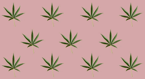 istock Pattern of green cannabis leaves on a pink background. 1253781953