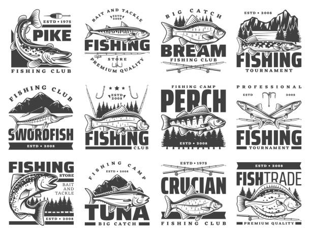 illustrazioni stock, clip art, cartoni animati e icone di tendenza di sport di pesca, icone del tempo libero, ganci da pescatore - catch of fish fish tuna sea bream