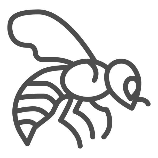 Ilustración de Icono De La Línea De Abejas Concepto De Miel Signo De Abeja  De Miel Sobre Fondo Blanco Icono De Insecto Volador En Estilo De Esquema  Para El Concepto Móvil Y