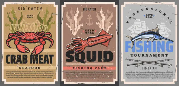 Vector illustration of Fishing sport crab, squid and marlin fish